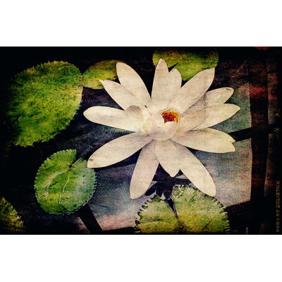 Lily Ponds III - Wrapped Canvas Print