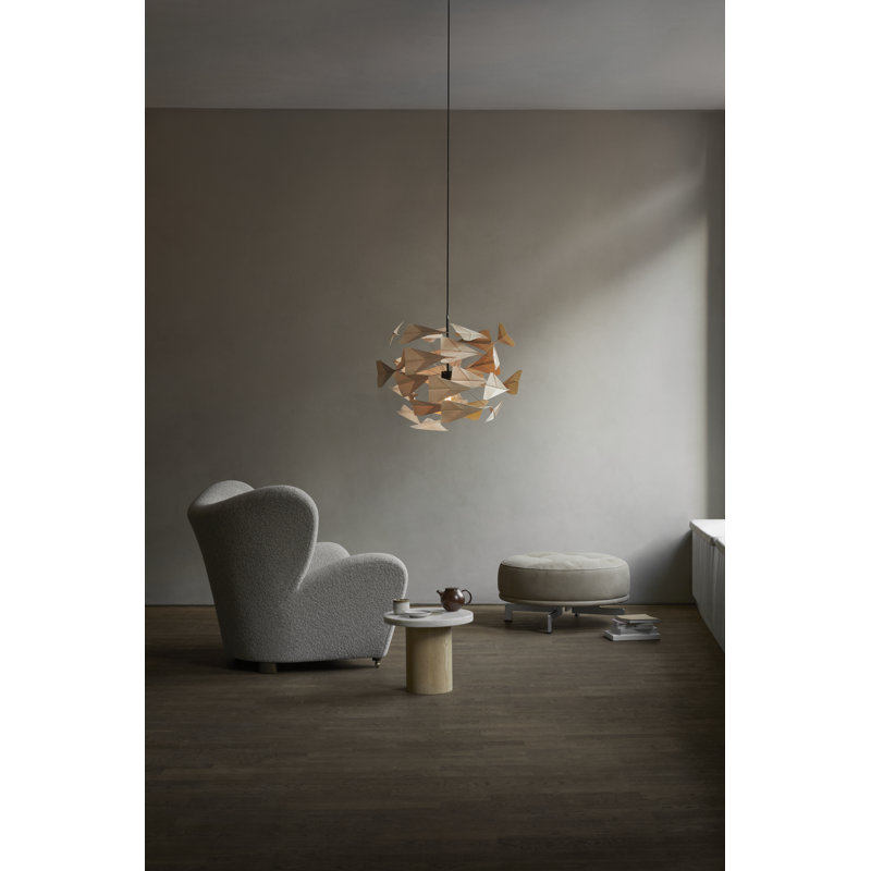 TR747 1 - Light Pendant
