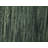 Solid Green 5X5 Oriental Modern Square Rug