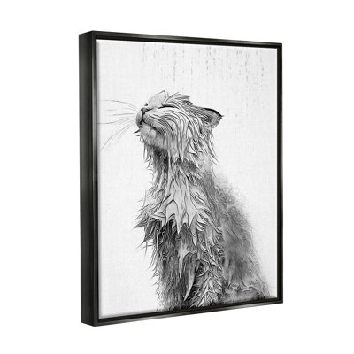" Cat Bathroom Splash "