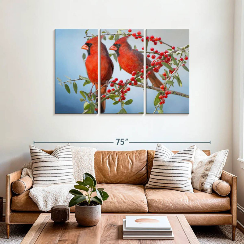 Cardinals simples Brampt, H 36 po x l 57 po