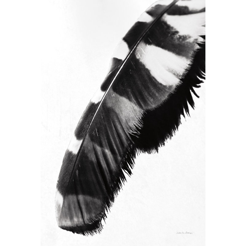 «Feather Shadow II White» par Debra Van Swearingen - impression sur toile tendue, H 12 po x l 8 po, Cadre photo noyer, Oui