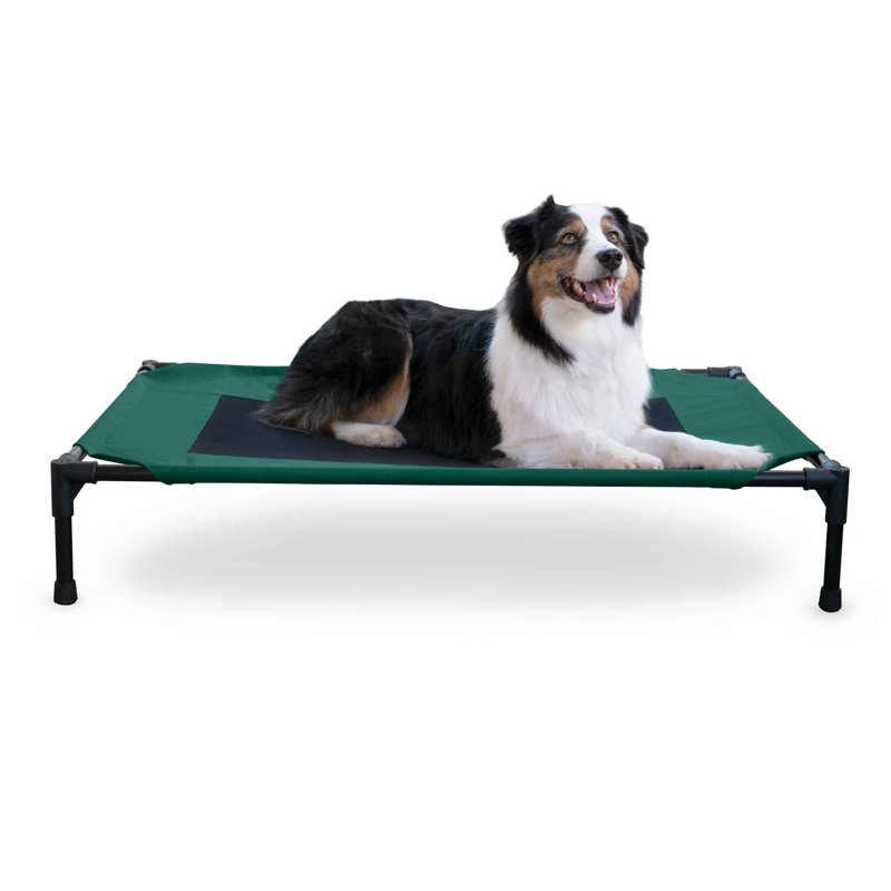 Polyester Pet Bed, Green/Black, Large (42" W x 30" D x 7" H)