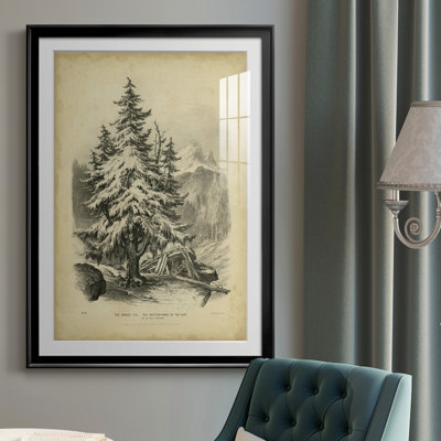 " The Spruce "