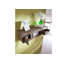 Nature Sheesham Solid Wood Floating Shelf