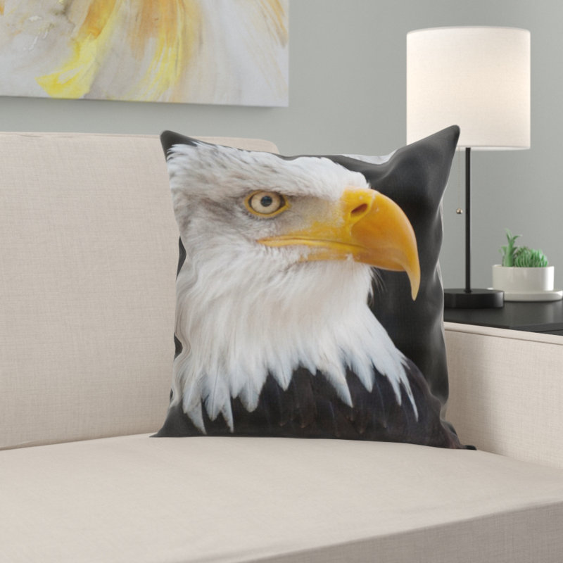 Coussin chauve eagles