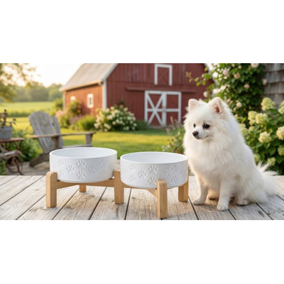 5.1" Elevated Ceramic Dog Bowl Set with Non-Slip Bamboo Stand, 13.5 OZ, for Puppies/Small Dogs, Paw White