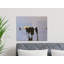1 Piece Wrapped Canvas Wall Art Set-791233838