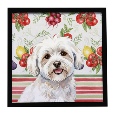 Coton de Tulear Vegetables Framed Metal Print