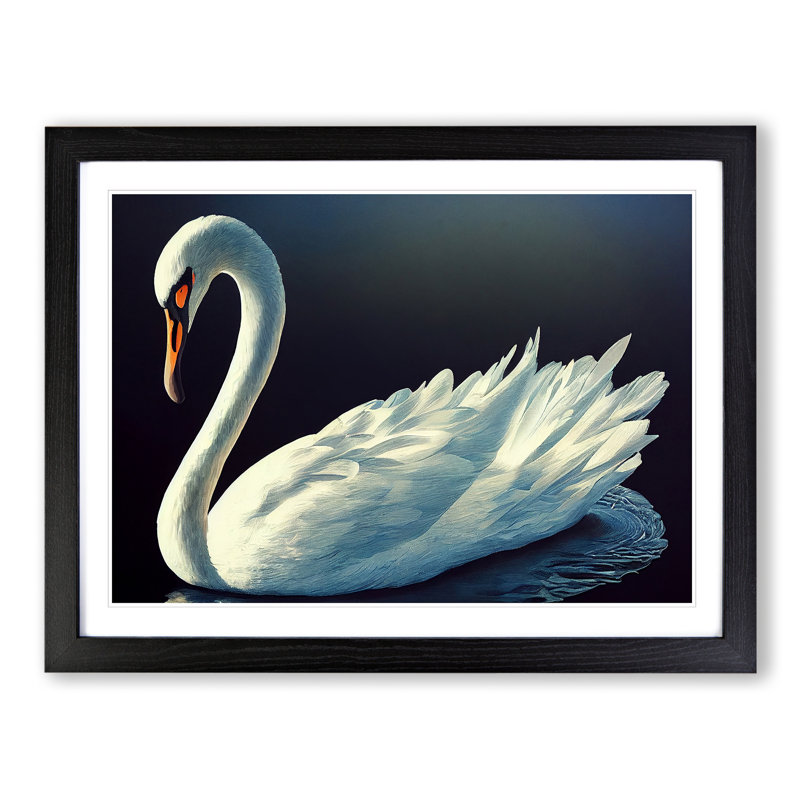 Appealing Swan - Single Picture Frame Print, Black Framed, 46cm H x 64cm W x 2cm D