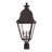 Arnfred Seeded and Transparent Lantern Head-105766115-105766113