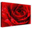 Love Print on Canvas in Red-1024872694