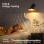 LED Battery Powered Armed Sconce