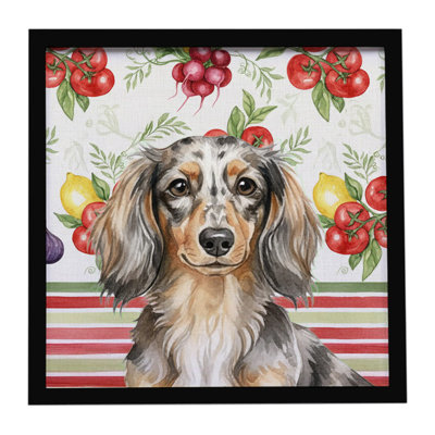 «Longhaired Dapple Dachshund Légumes», reproduction d'art encadrée