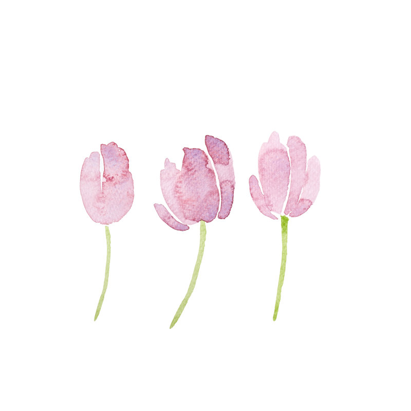 Adamantini Watercolour Tulips - Wrapped Canvas Painting, 30cm H x 30cm W x 3.8cm D