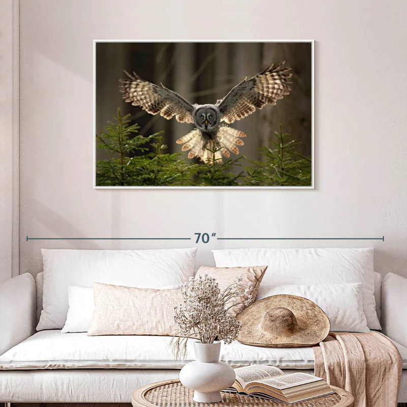 Hibou volant, Cadre flottant blanc, 43 po x 29 po