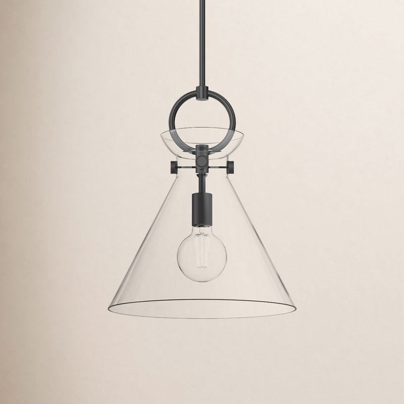Luminaire suspendu conique à 1 lumière Tiney, H 17 po x l 14 po x P 14 po, Noir mat / transparent