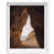 White Frame est en rupture de stock