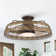 27" Taunya 5 - Blade Caged Ceiling Fan with LED Lights and Remote Control