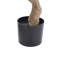 BOUGAINILLEA TREE 180 cm H Faux Foliage and Bougainvillaea Tree Plant in Plastic Pot