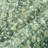 Braeden Vintage Green Area Rug-878756826-880437291