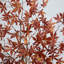 5 pi. Arbre d'automne artificiel automne érable japonais