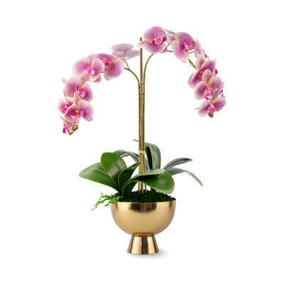 Orchidée Monet RealTouch en piédestal doré