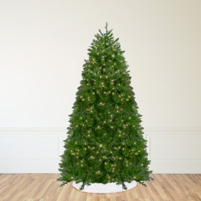 168' Lighted Fir Christmas Tree