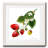 " Strawberry Study II "-1792901317-1793247403-1793252488