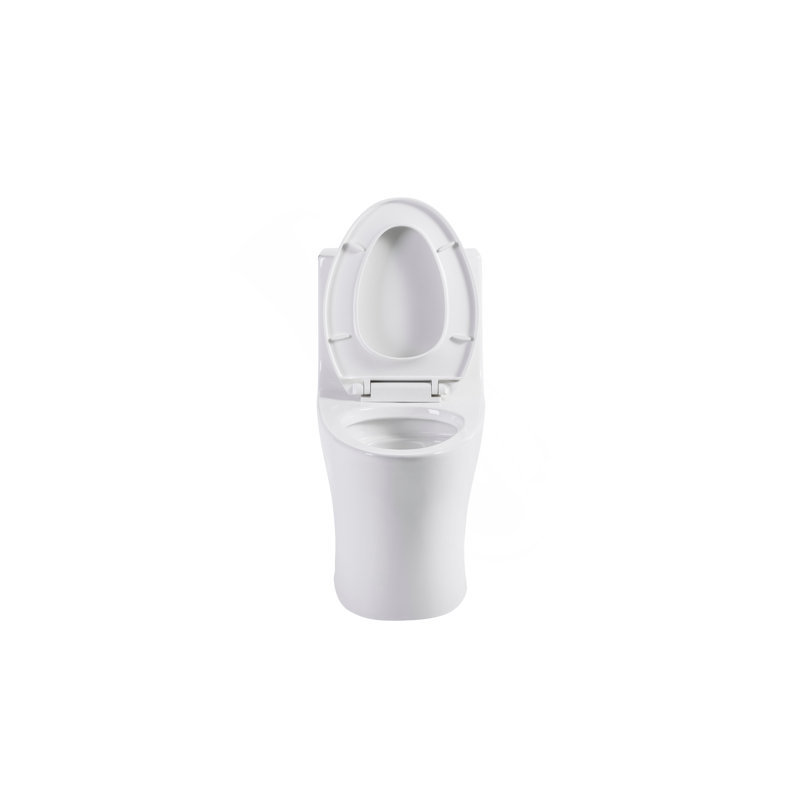 1.1/1.6 GPF Tornado Flush One-Piece Toilet Elongated, Siphonic S-Trap 12",Soft Closing Seat, Button On Tank Top ,Powerful Dual Flush MAP 1000G, Comfort Chair Seat ADA Height 17"