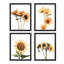 «Country Farm Summer Sunflower», ensemble de 4 impressions murales de jardin nature collage encadrées sur papier, impression de 4 pièces-93012322-93012320