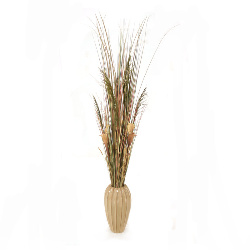 Herbe de pampa conservée 77 po en pot