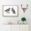 Two Ducks in Black & White by Johan Teyler - Framed Print-55614661-55614662