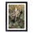 Black Framed selected