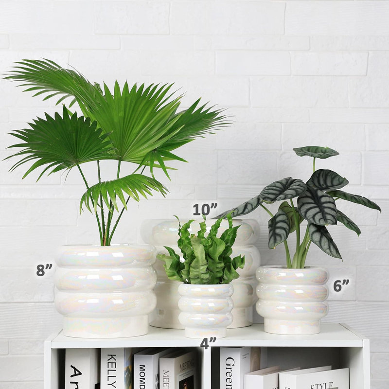 Ceramic Pot Planter