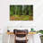 Alvord Muir Woods Forest-108700359