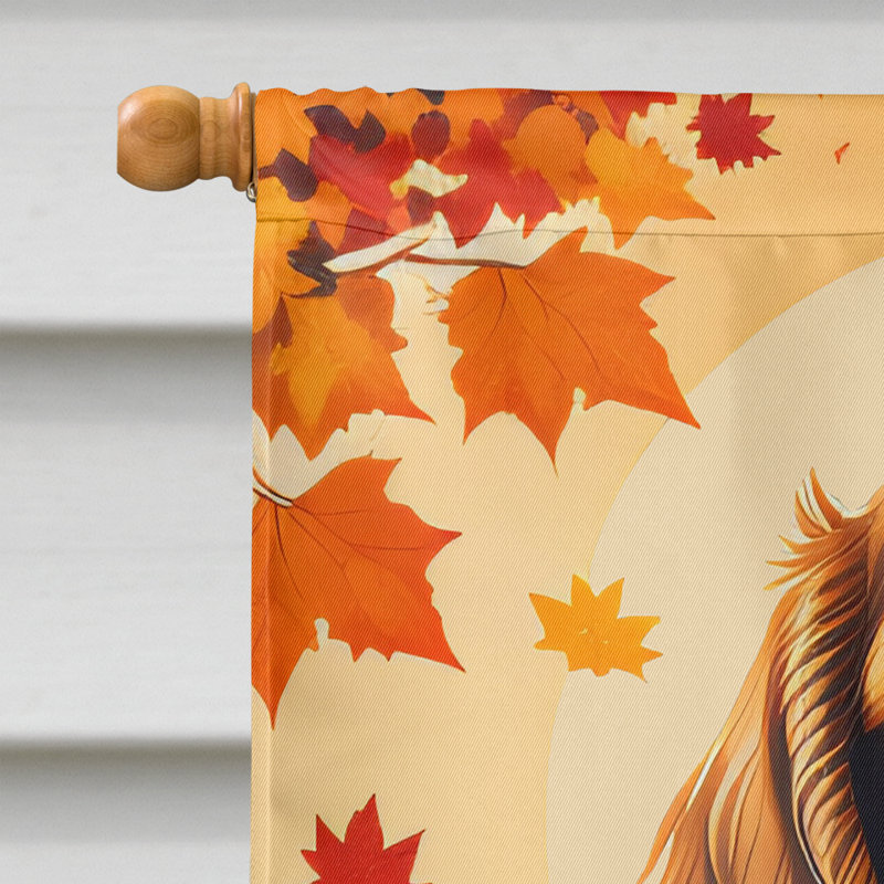 Double Sided 40'' H x 28'' W Polyester House Flag