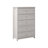 Isenbert 5 Drawer 31.5" W Chest-2069222817
