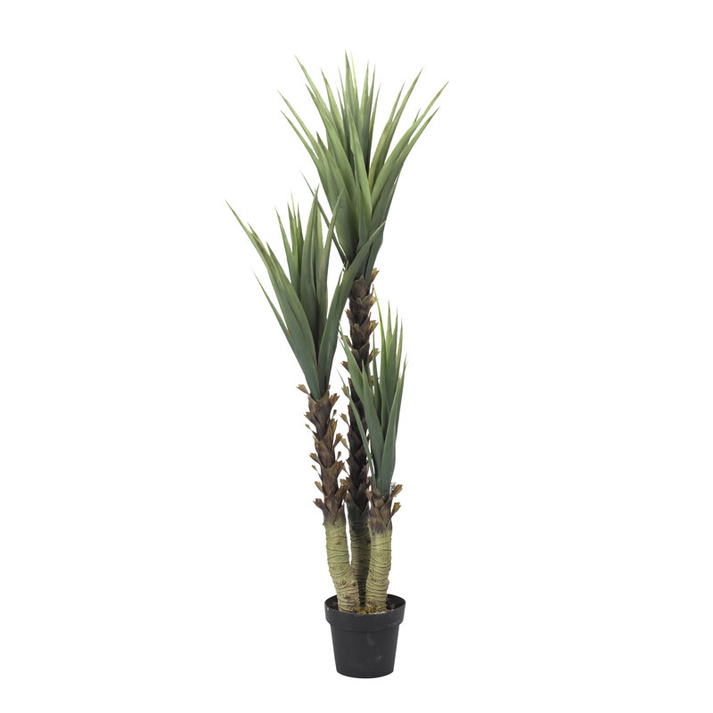 61'' Faux Yucca Tree in Ceramic Planter