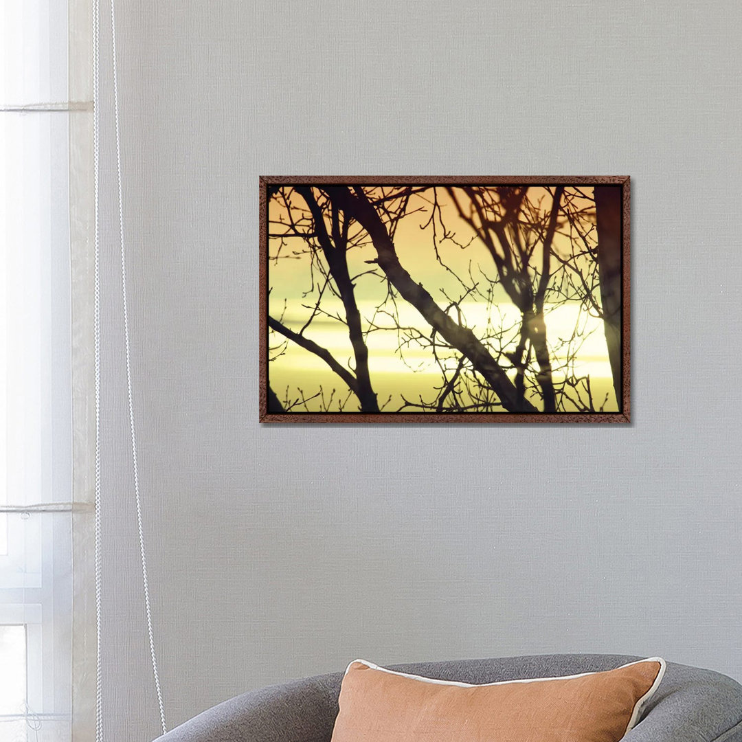 Aspen Sunset I von Savanah Plank - Galerie-verpackte Leinwand Giclée