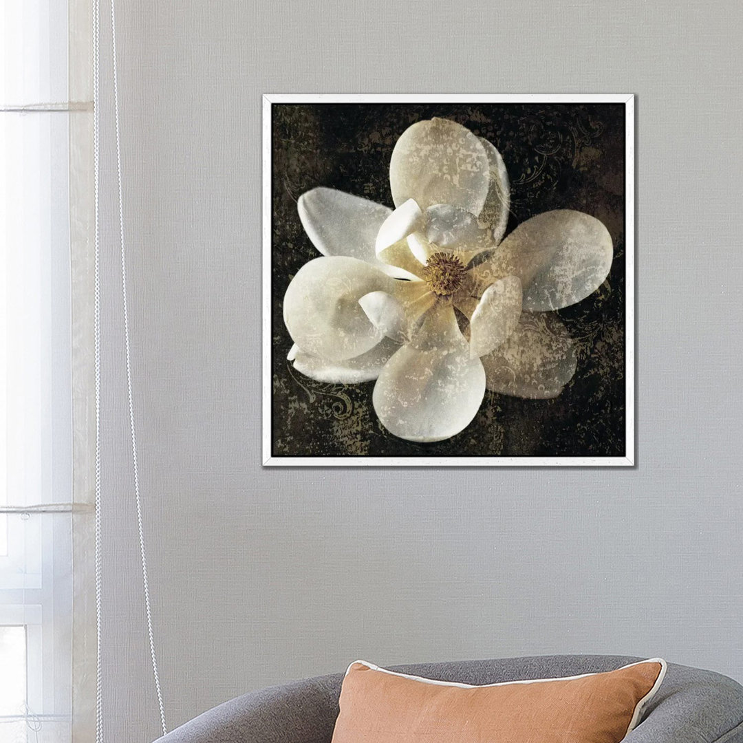 Leinwandbild Magnolia I von John Seba