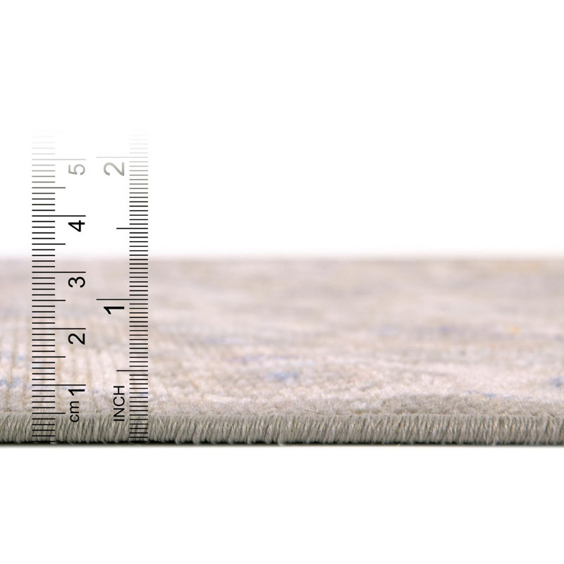 Denena Oriental Indoor Rug, Runner 2' x 8'