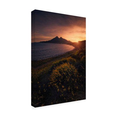 Francisco Jose Ruano On Fire Canvas Art