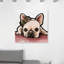 «Royal Frenchie», impression sur toile-66679246