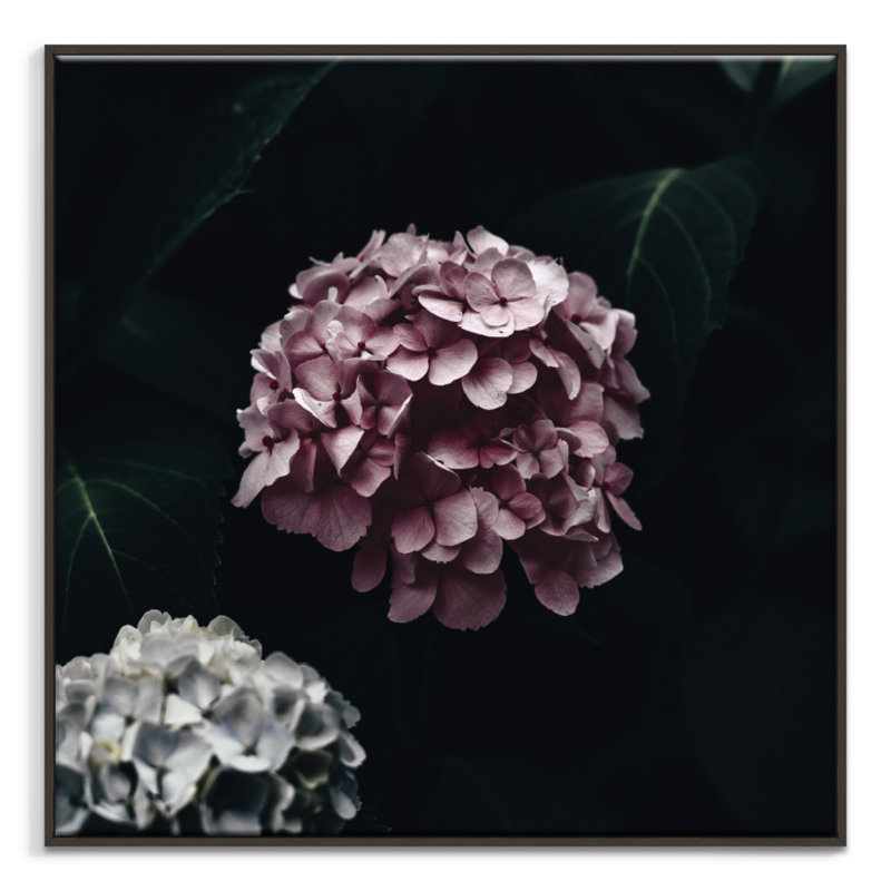 Print on Canvas, 102cm H x 102cm W, Black Floater Frame