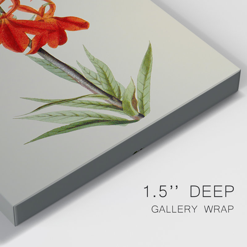 «Botanical Array VII», ensemble de 3 impressions sur toile tendue, H 12 po x l 24 po x P 1 po