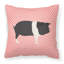 Coussin extérieur éclectique porc check-48710986-23813616