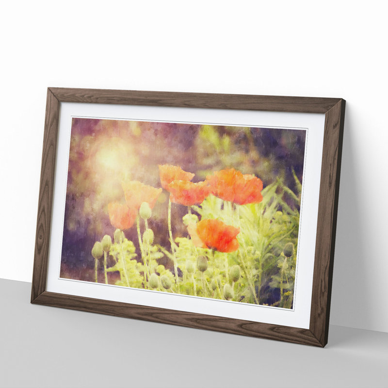 Field of Poppies Vol.6 - Picture Frame Graphic Art, Walnut Framed, 27cm H x 36cm W x 2cm D