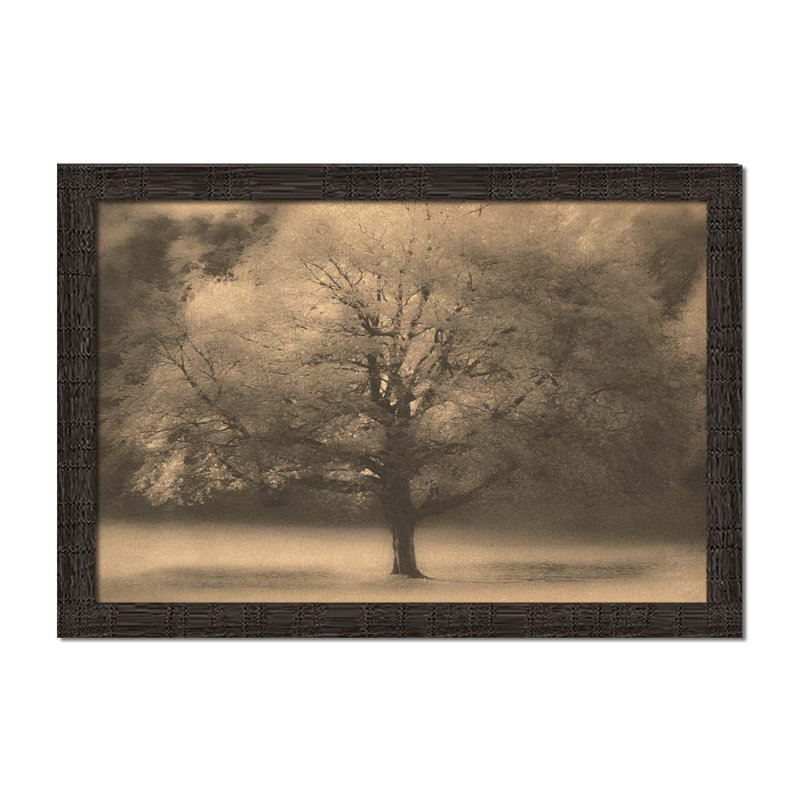 Arbre de chute par Hal Halli. Impression sur papier - Montée et encadrée, H 34 po x l 49 po