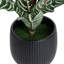 Artificial Plant